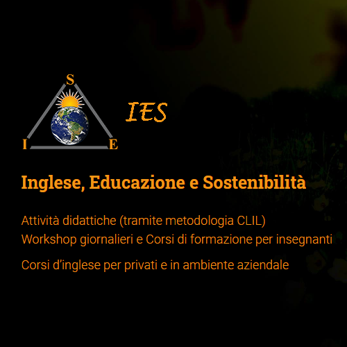 website01